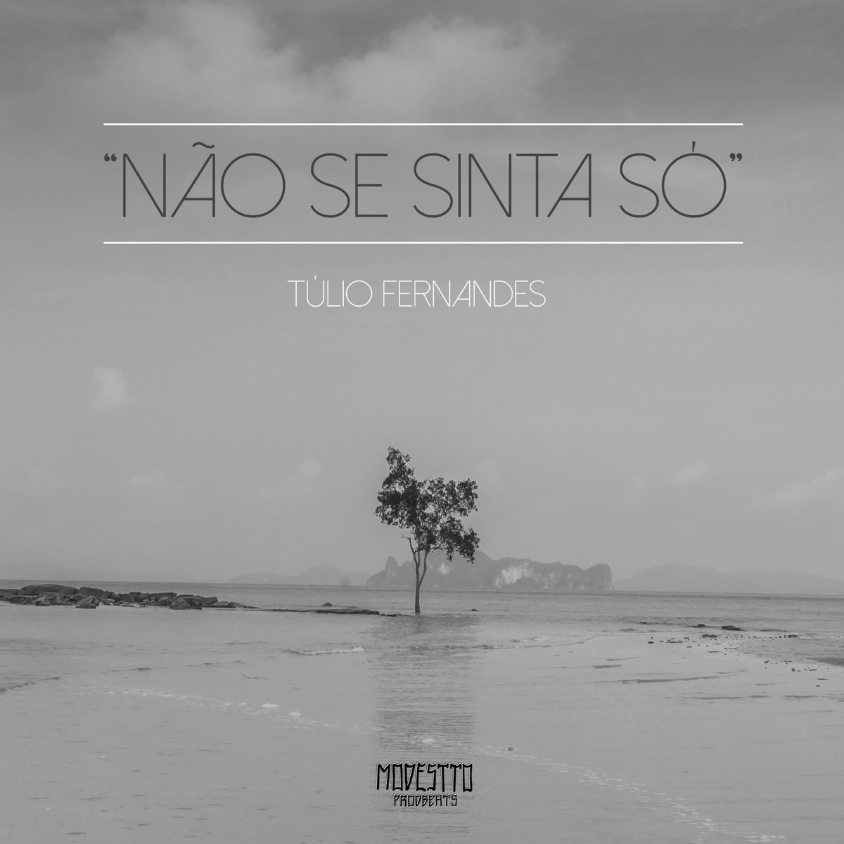 Não Se Sinta Só - Single by Túlio Fernandes & Modestto album cover