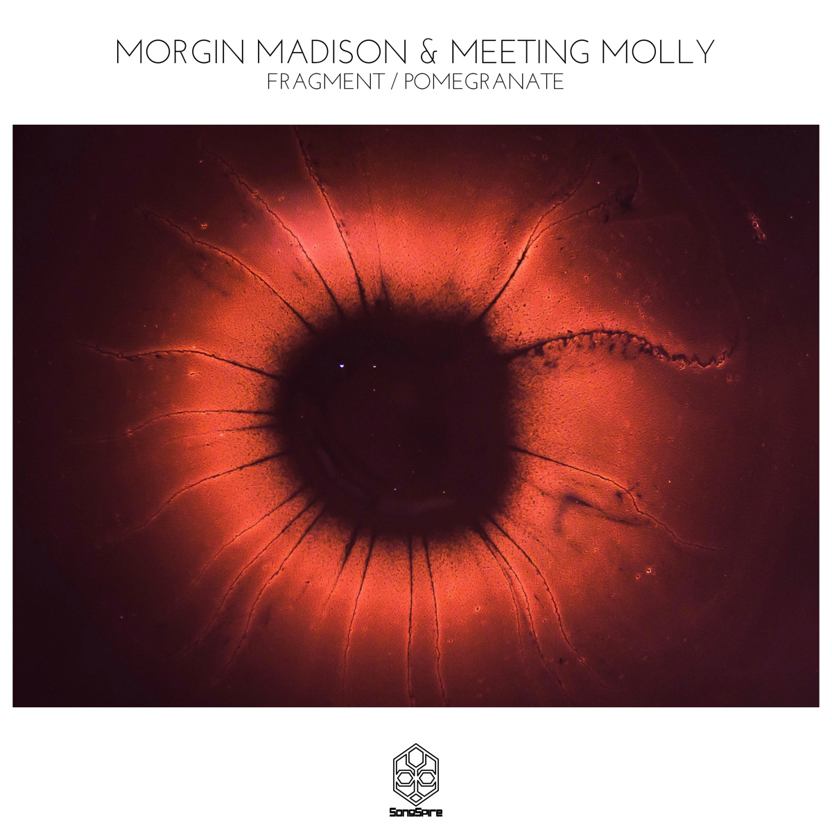 Fragment / Pomegranate - Single by Morgin Madison & Meeting Molly album cover