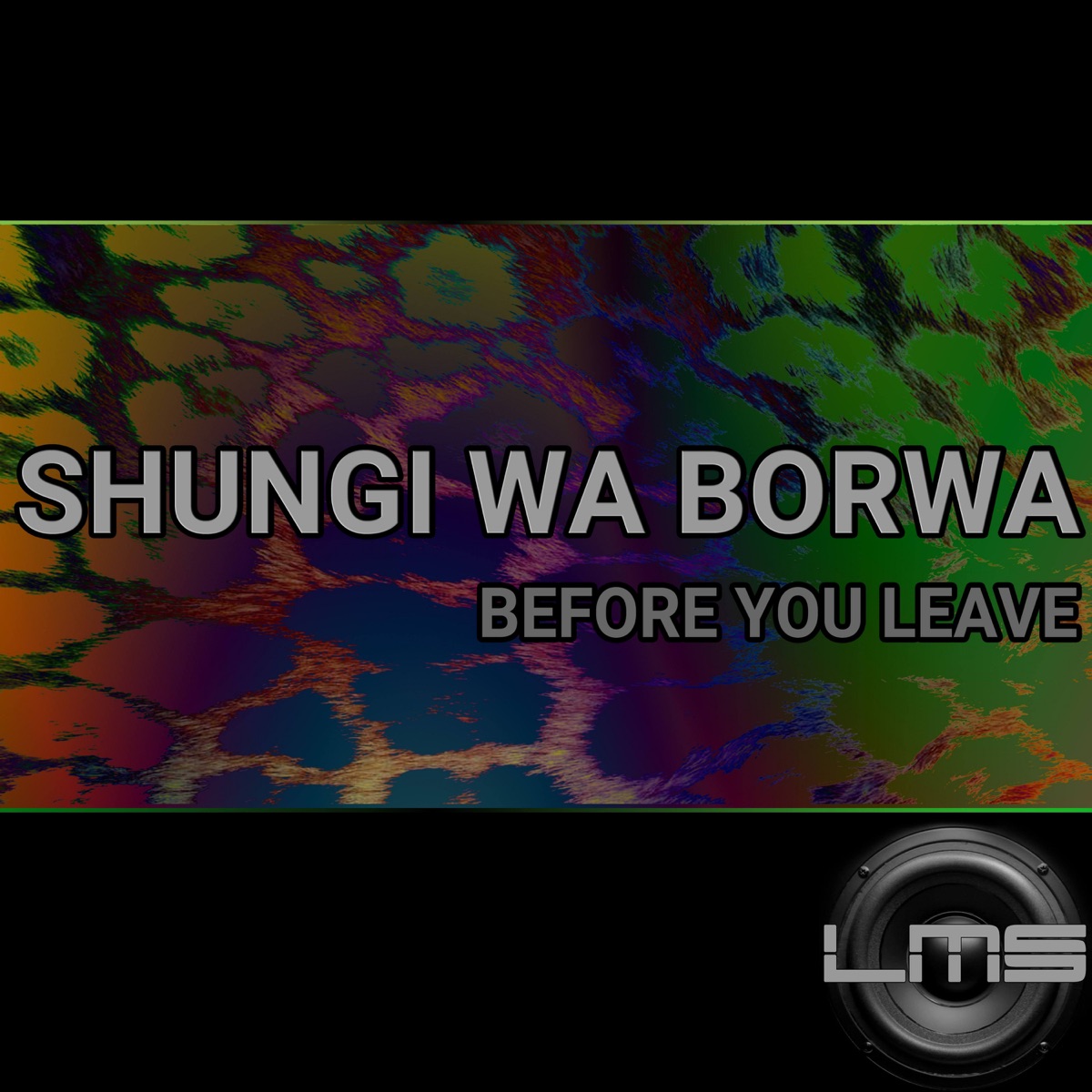 Before You Leave - Single by Shungi Wa Borwa album cover