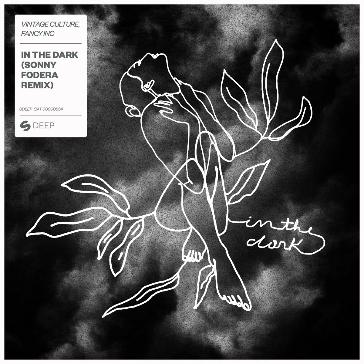 In the Dark (Sonny Fodera Remix) - Single by Vintage Culture & Fancy Inc album cover