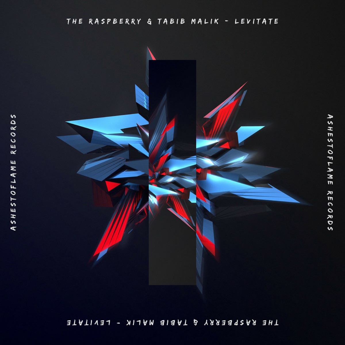 Levitate - Single by The Raspberry & Tabib Malik album cover