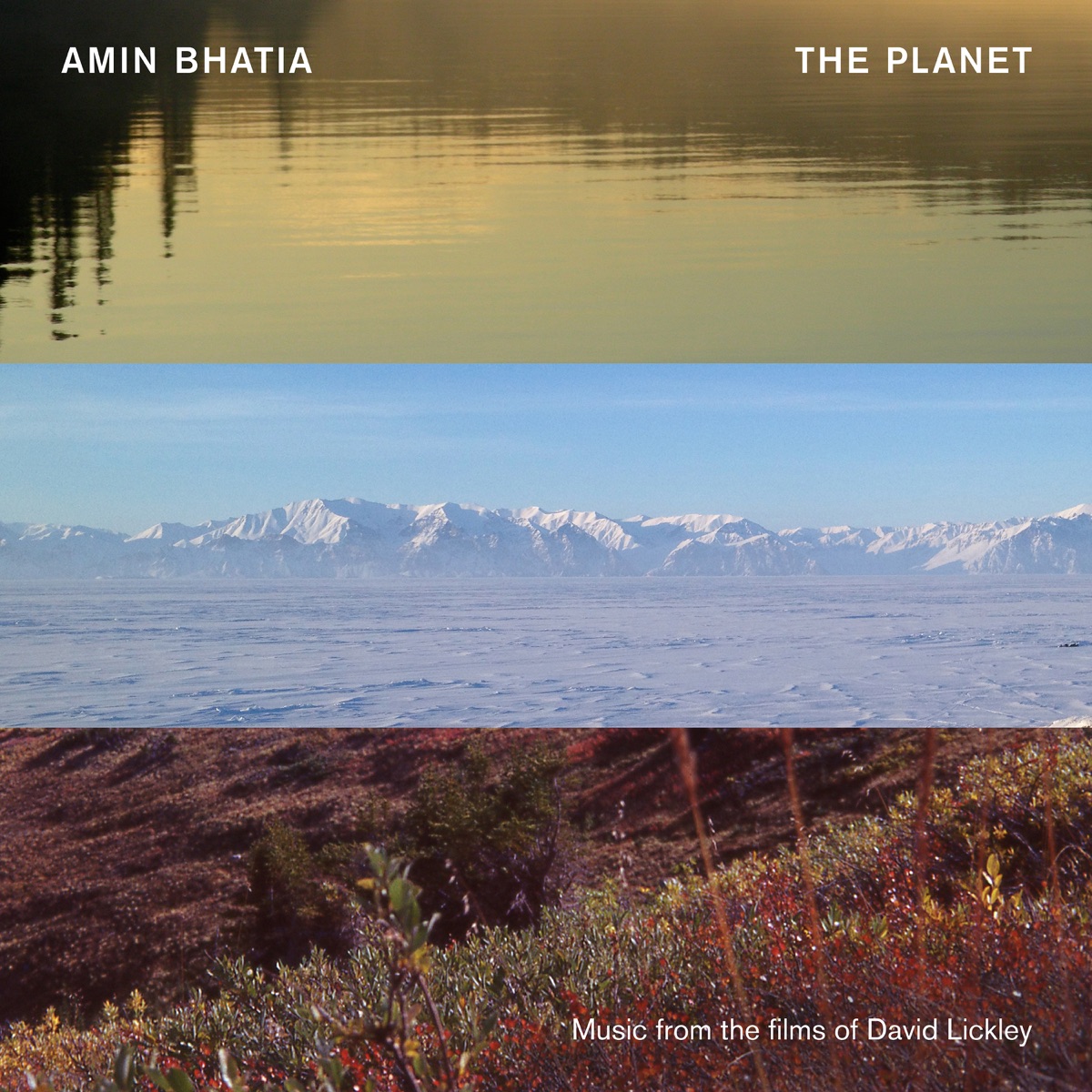 The Planet (Music from the Films of David Lickley) [feat. Jamie Hopkins, Mickey Erbe & Winona Zelenka] by Amin Bhatia album cover