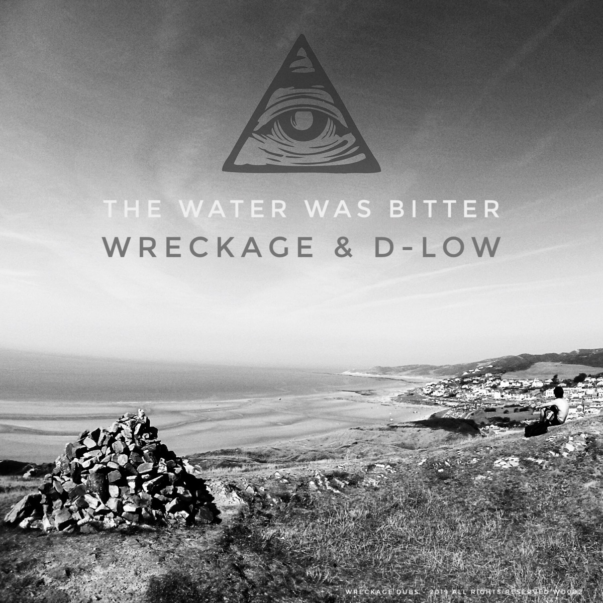 The Water Was Bitter (feat. D-Low) - Single by Wreckage album cover