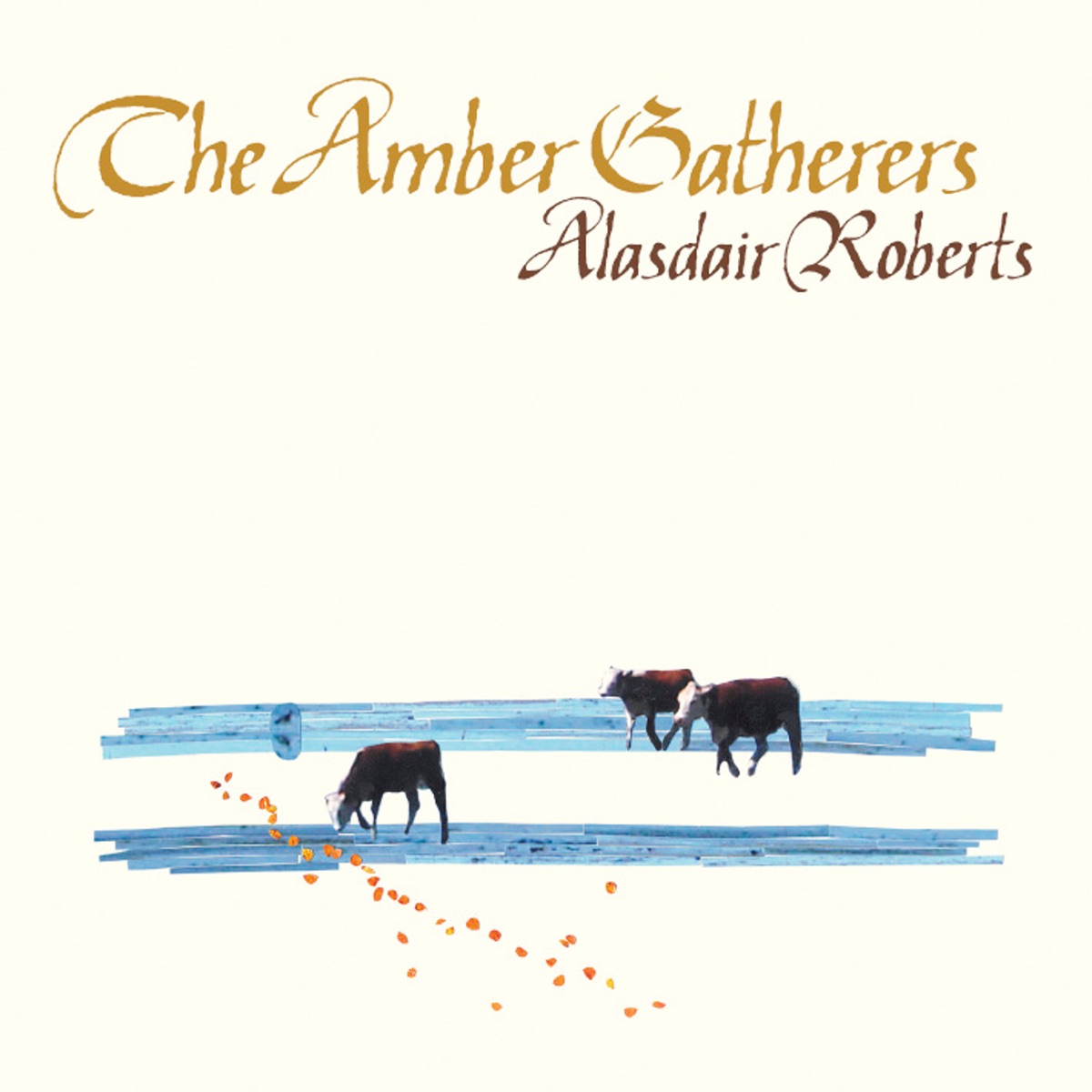 The Amber Gatherers by Alasdair Roberts album cover