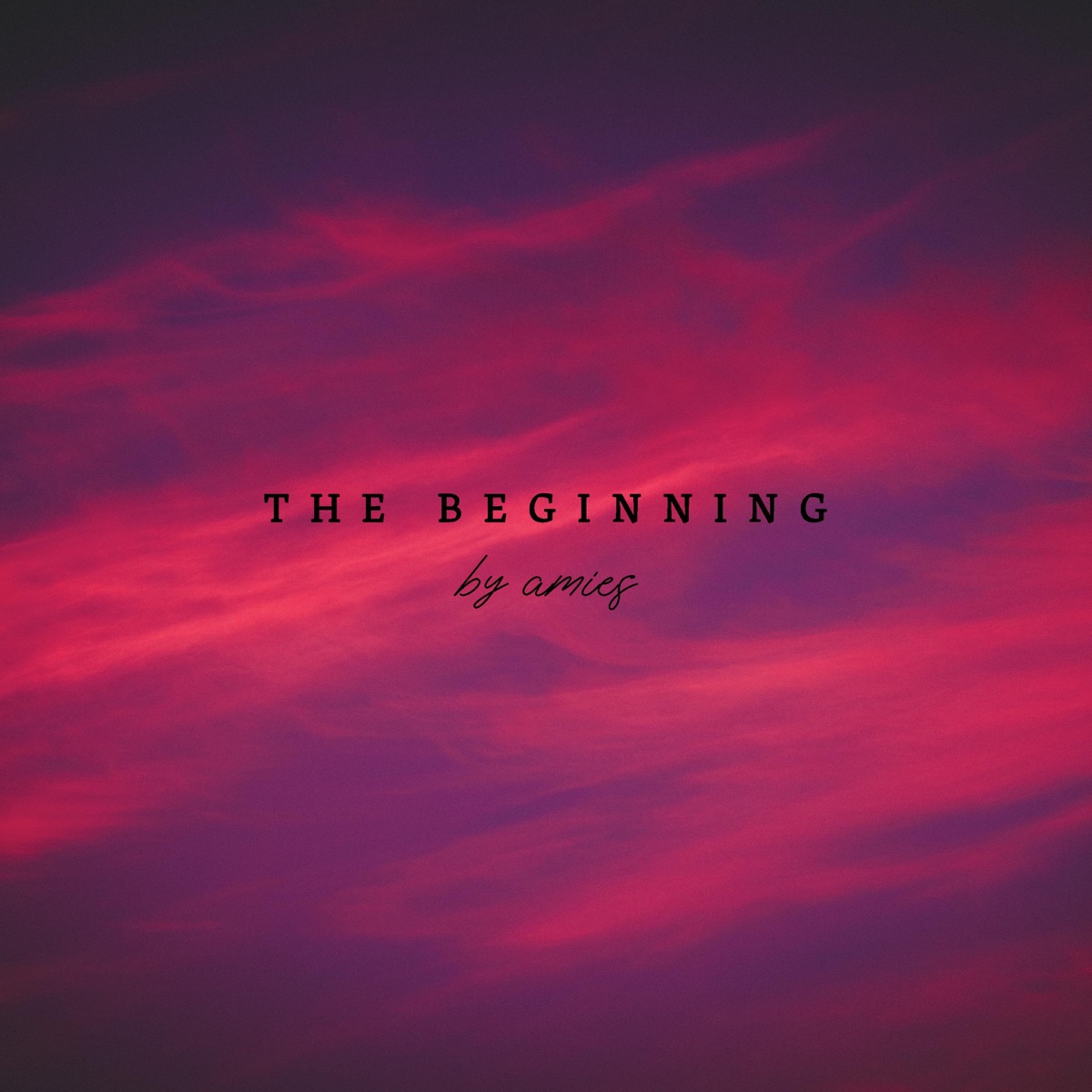 The Beginning - Single by amies album cover