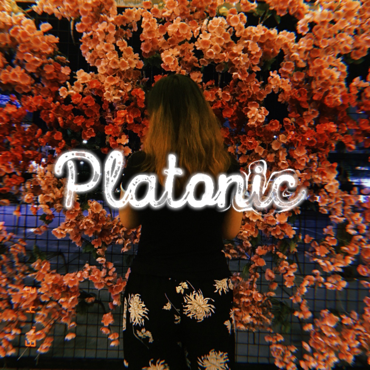 Platonic - Single by SaraCortez album cover