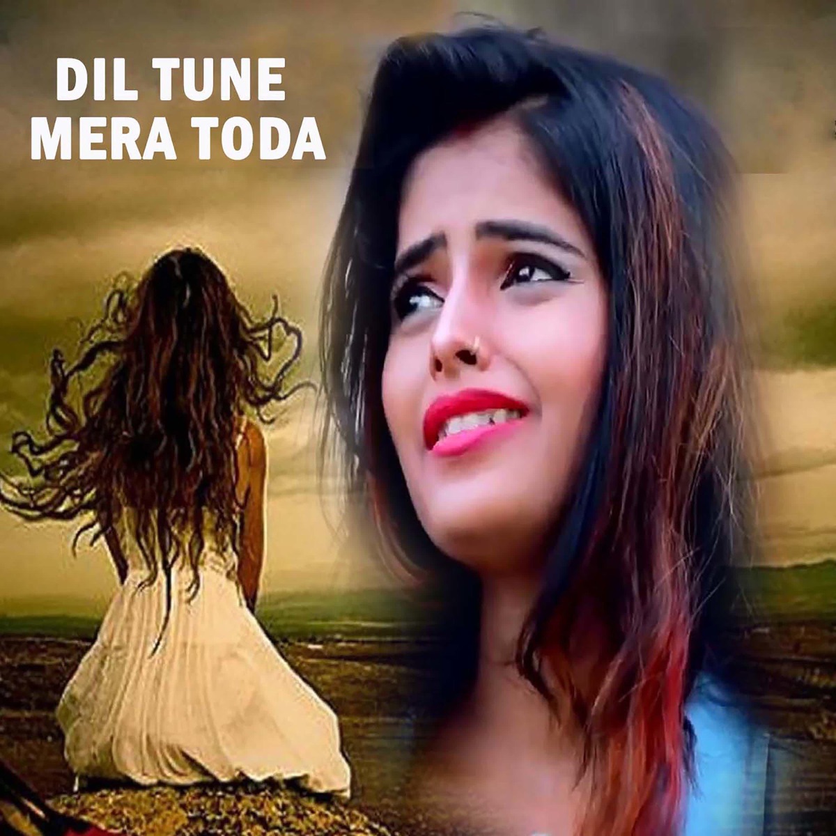 Dil Tune Mera Toda - Single by Rupali Gupta album cover