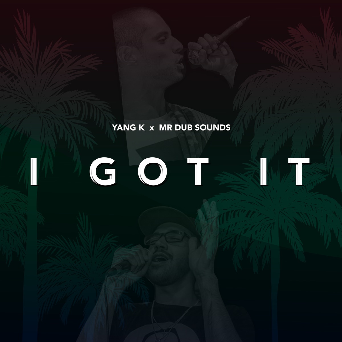 I Got It - Single by YANG K & MR Dub Sounds album cover