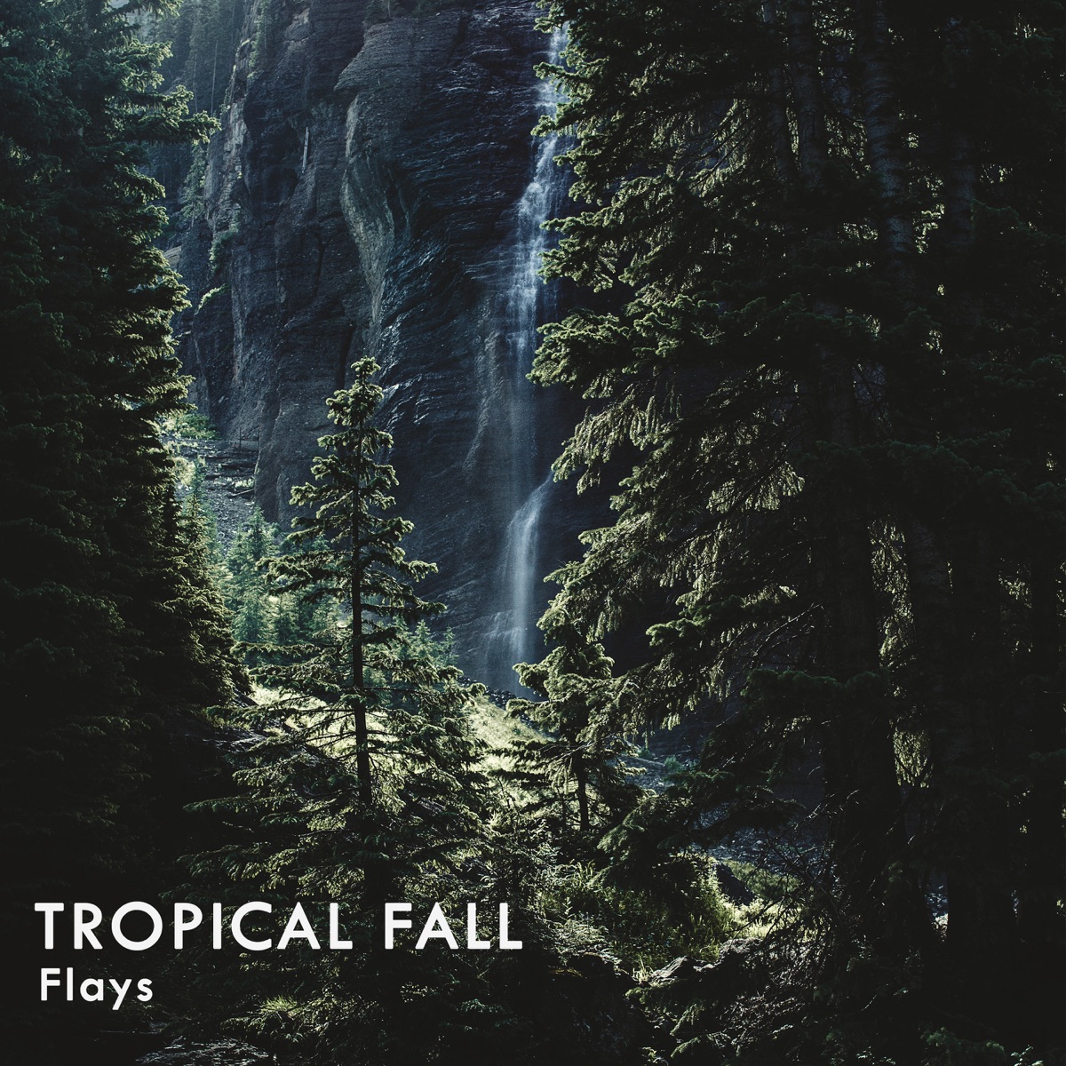 Tropical Fall - Single by Flays album cover