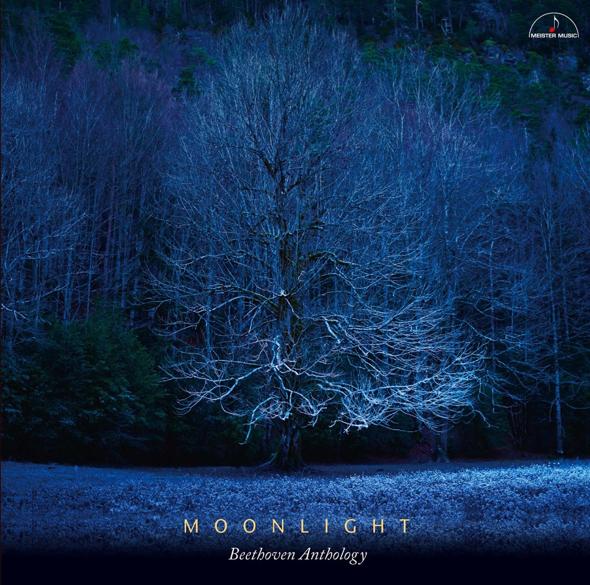 Moonlight 〜Beethoven Anthology〜 by Karl-Andreas Kolly, Friedrich Wilhelm Schnurr, Nello Santi, NHK Symphony Orchestra, Shigenori Kudo, Kazuhiro Iwasa, Kimihiko Akiyama, Shuhei Isobe, Koji Okazaki, Virtuoso Quartetto & Bruce Stark album cover