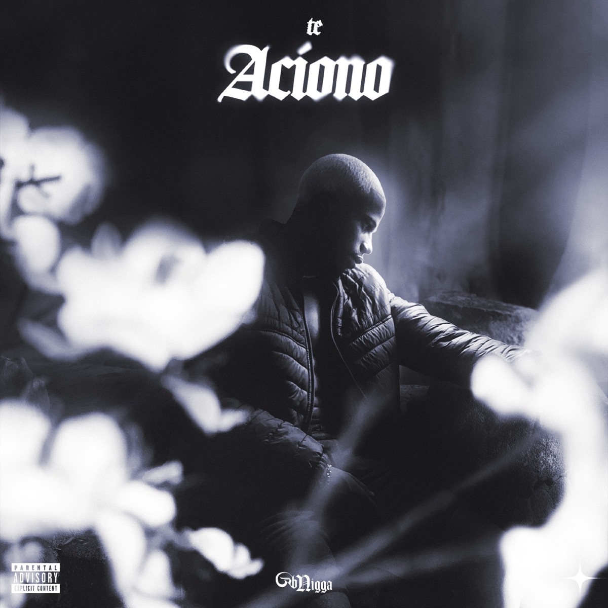 Te Aciono - Single by Gb nigga album cover