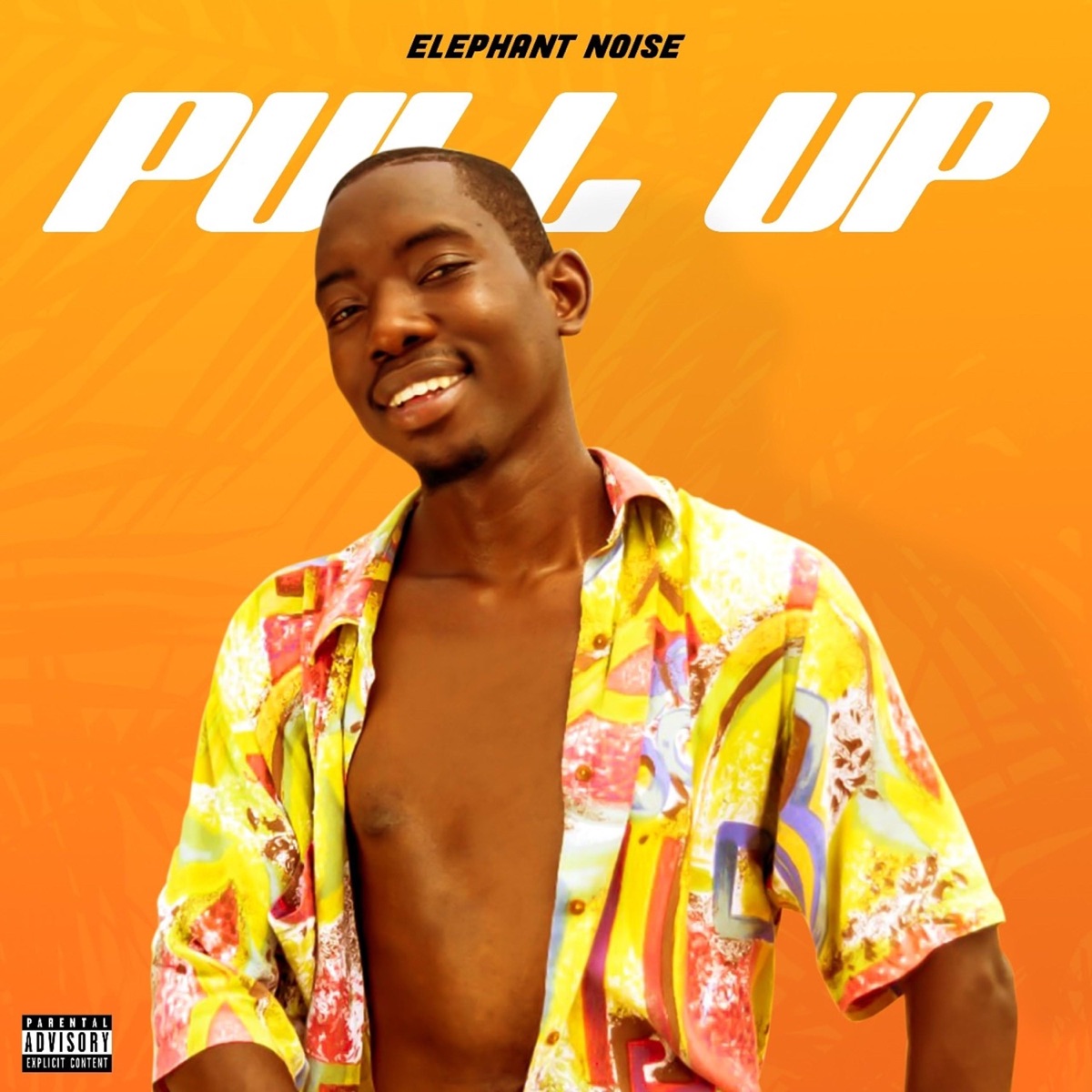 Pull Up - Single by Elephant Noise album cover