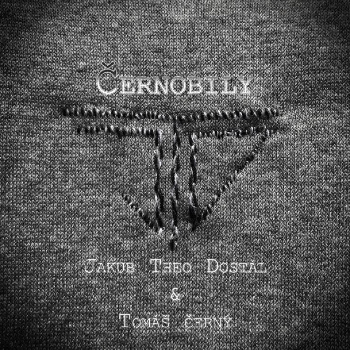 Černobílý (feat. Tomáš Černý) - Single by Jakub Theo Dostál album cover