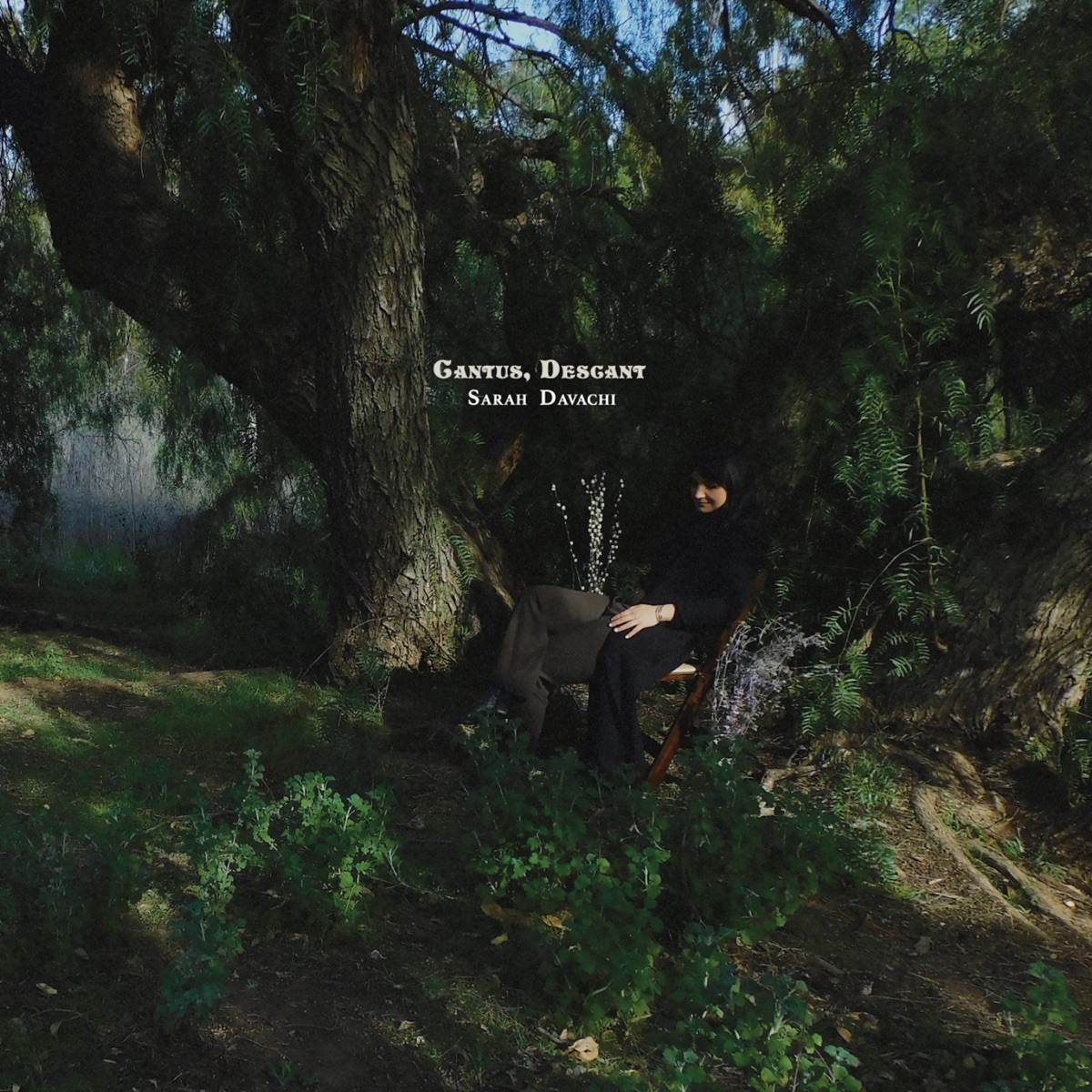 Cantus, Descant by Sarah Davachi album cover