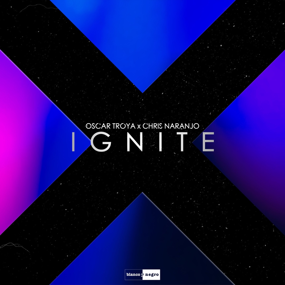 Ignite - Single by Oscar Troya & Chris Naranjo album cover