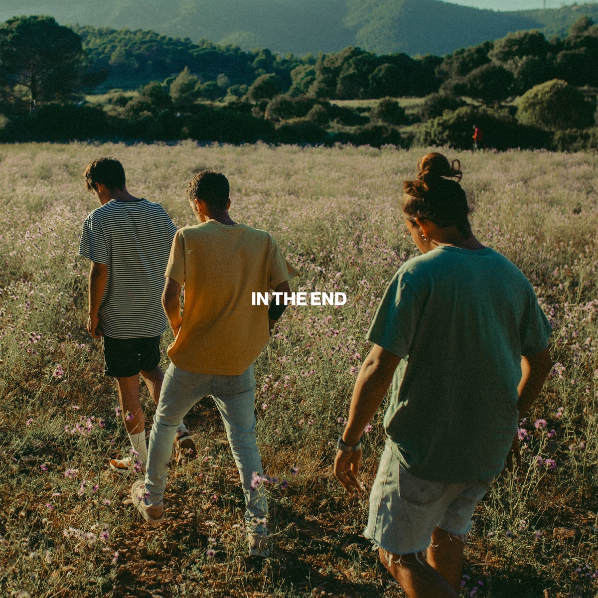 In The End - Single by Stay Homas album cover