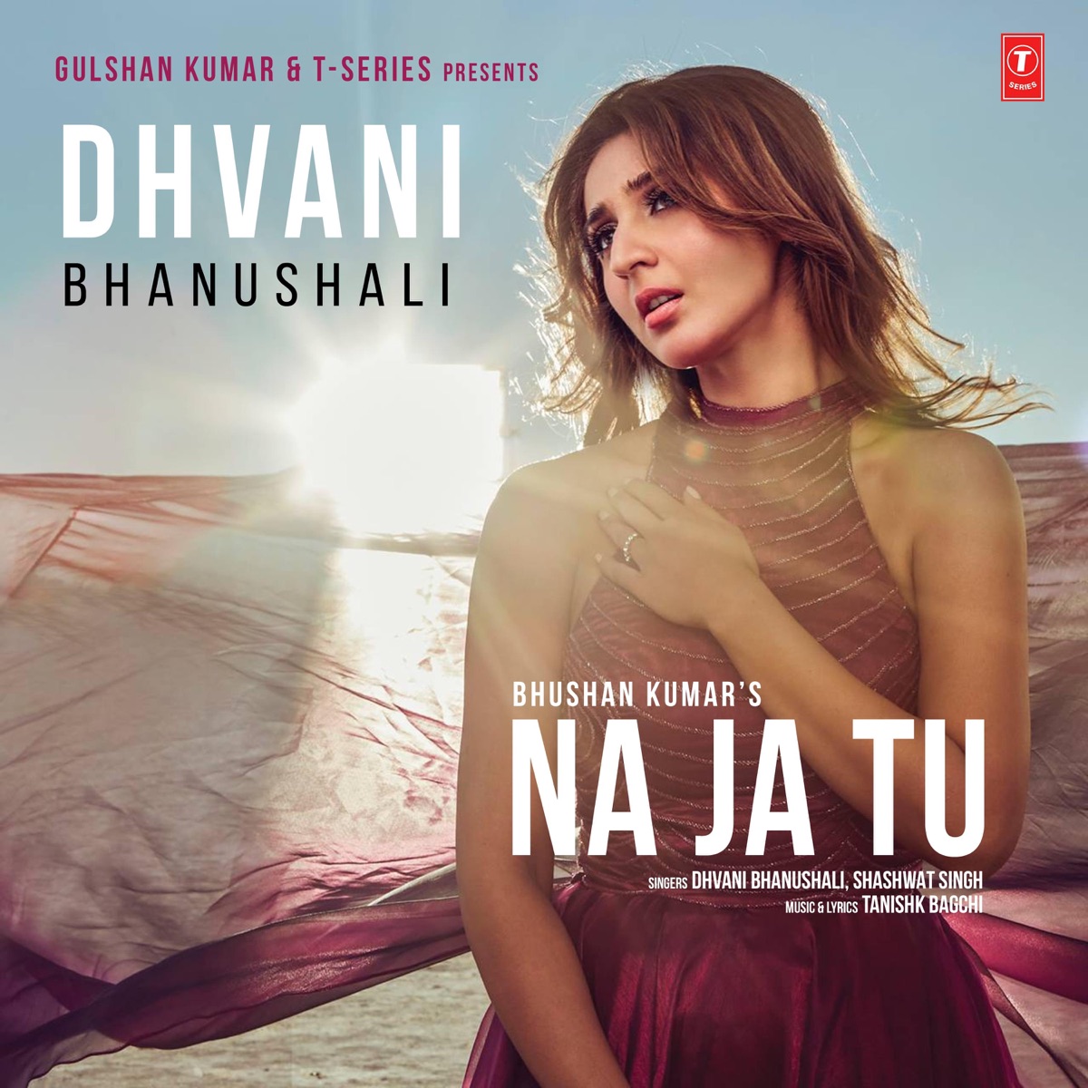 Na Ja Tu - Single by Dhvani Bhanushali & Shashwat Singh album cover