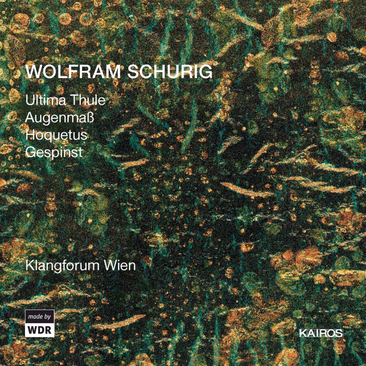 Wolfram Schurig: Ultima Thule by Annette Bik, Ernesto Molinari, Klangforum Wien, Sylvain Cambreling, Emilio Pomarico & Beat Furrer album cover
