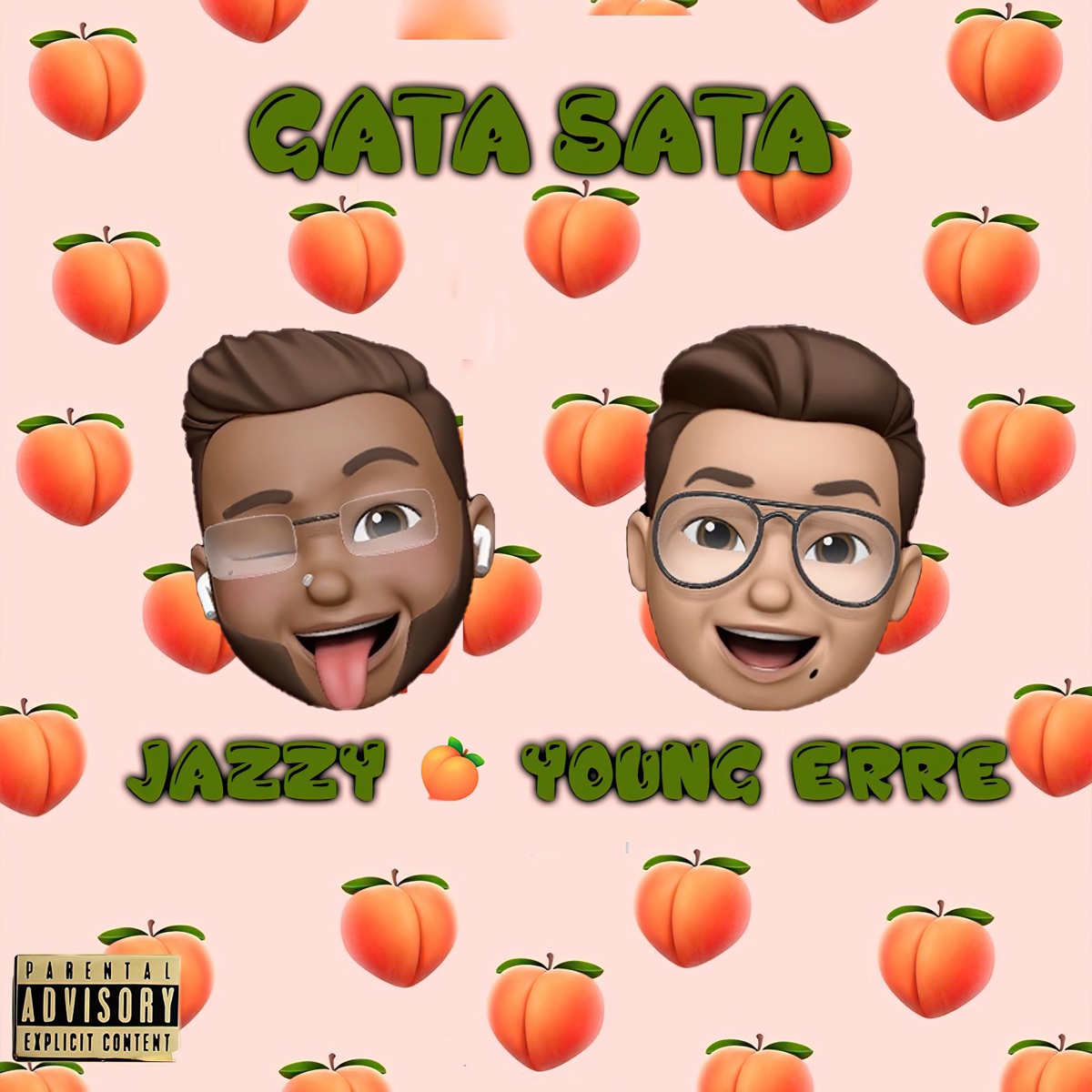 Gata Sata (feat. Jazzluv) - Single by Young Erre album cover