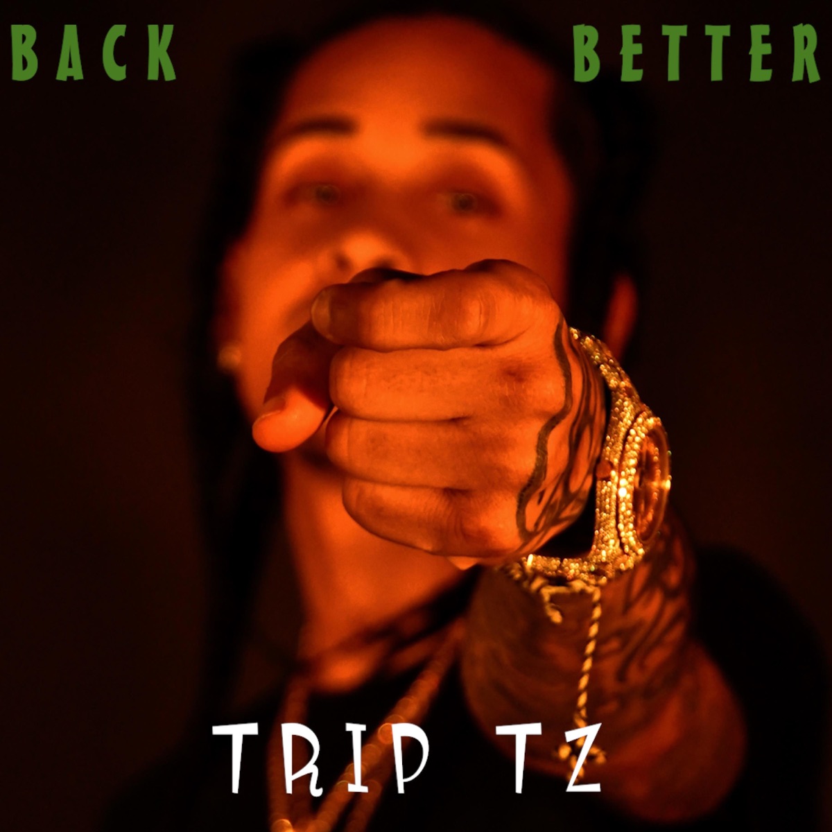 Back & Better - Single by Trip Tz album cover