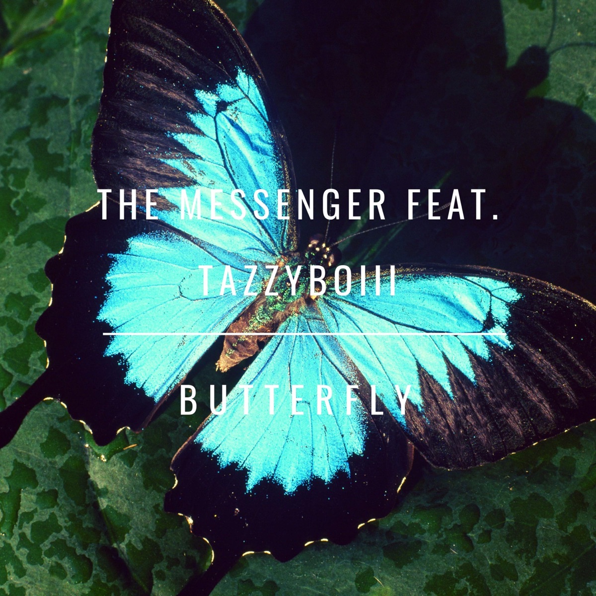 Butterfly (feat. Tazzyboiii) - Single by The Messenger album cover