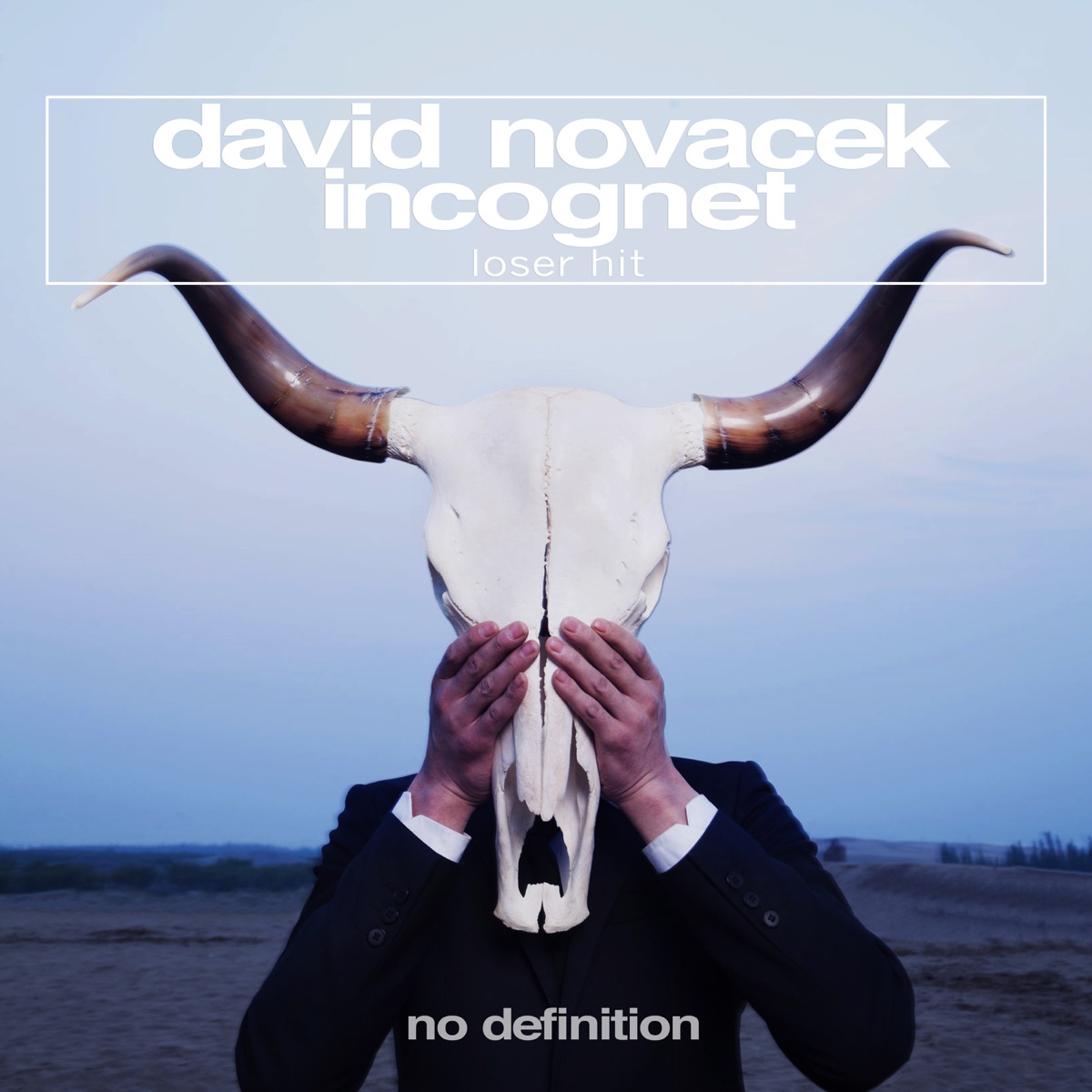 Loser Hit - Single by David Novacek & Incognet album cover
