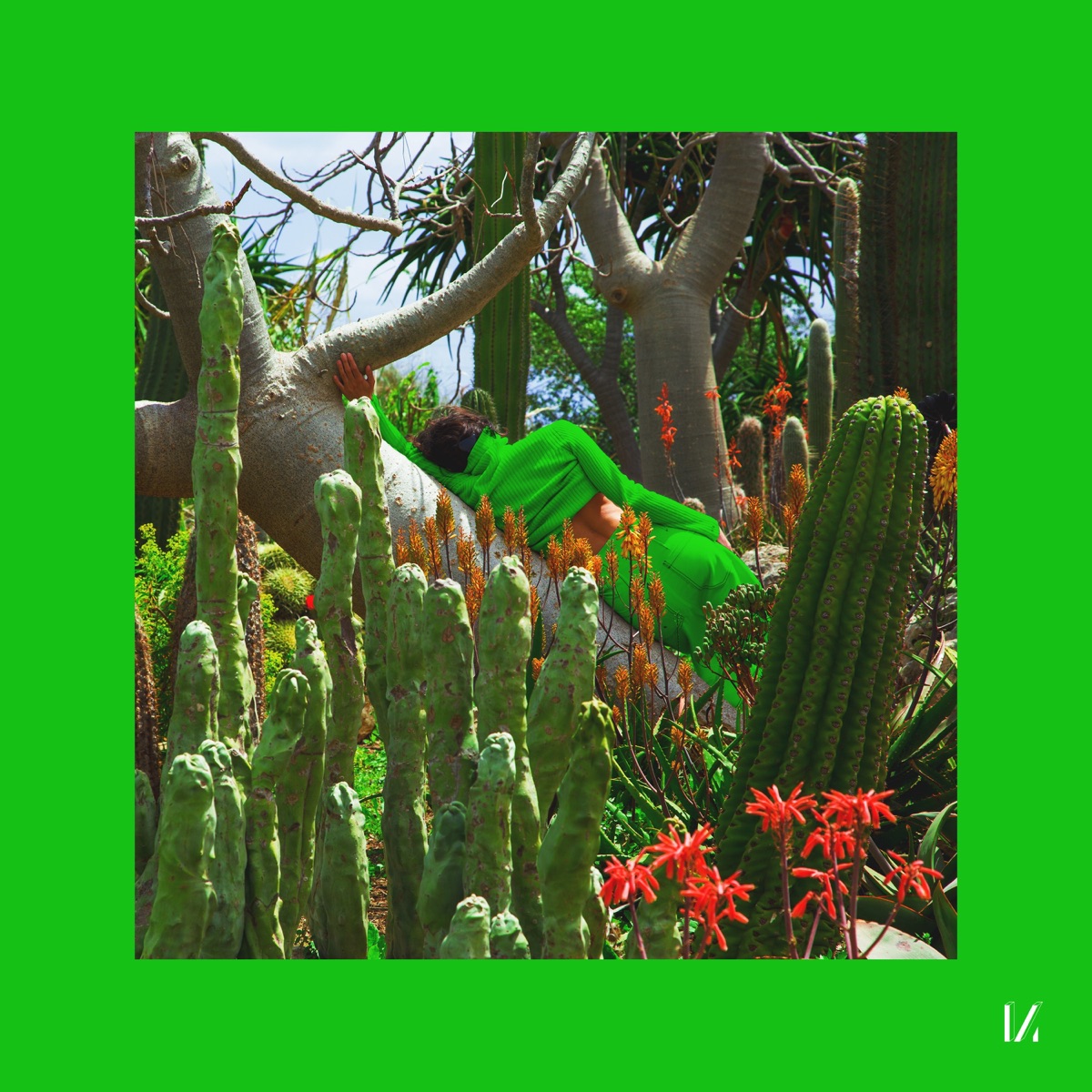 Before Anyone Else / Bats and Birds - EP by Cornucopia album cover