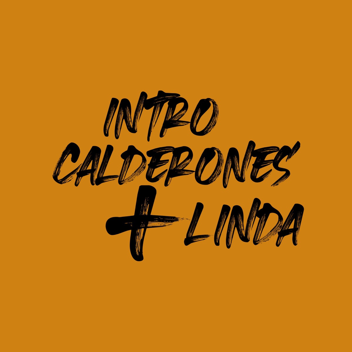 Intro Calderones y Linda (feat. Sebaa Maza) - Single by Tim Shaw DJ album cover