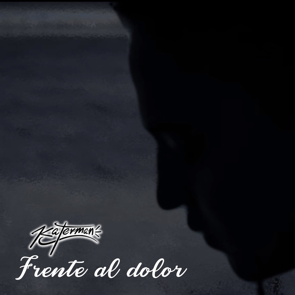 Frente al Dolor - Single by Katerman album cover