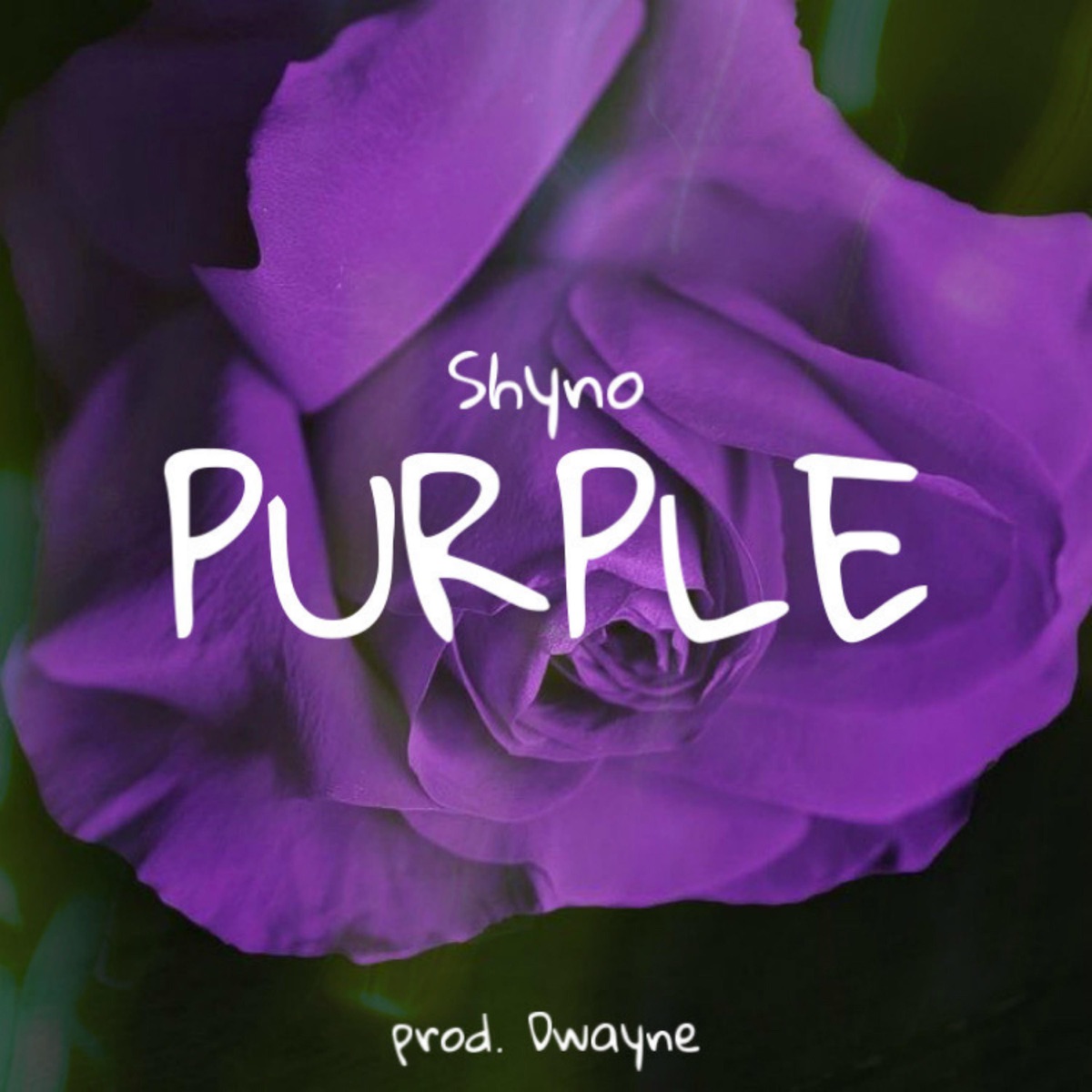 Purple - Single by Shyno album cover