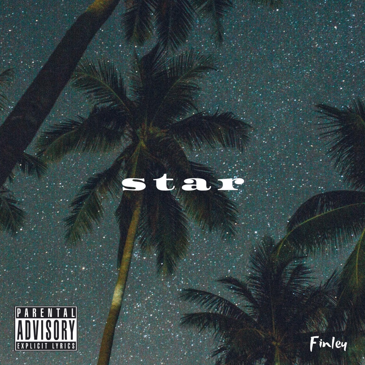 Star - Single by Finley album cover