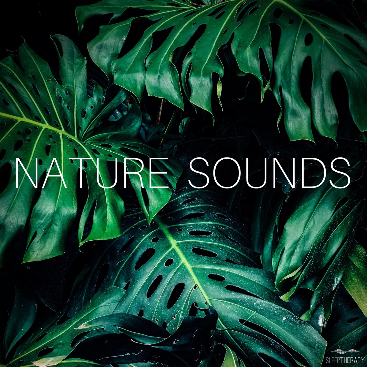 Nature Sounds by SleepTherapy album cover artwork