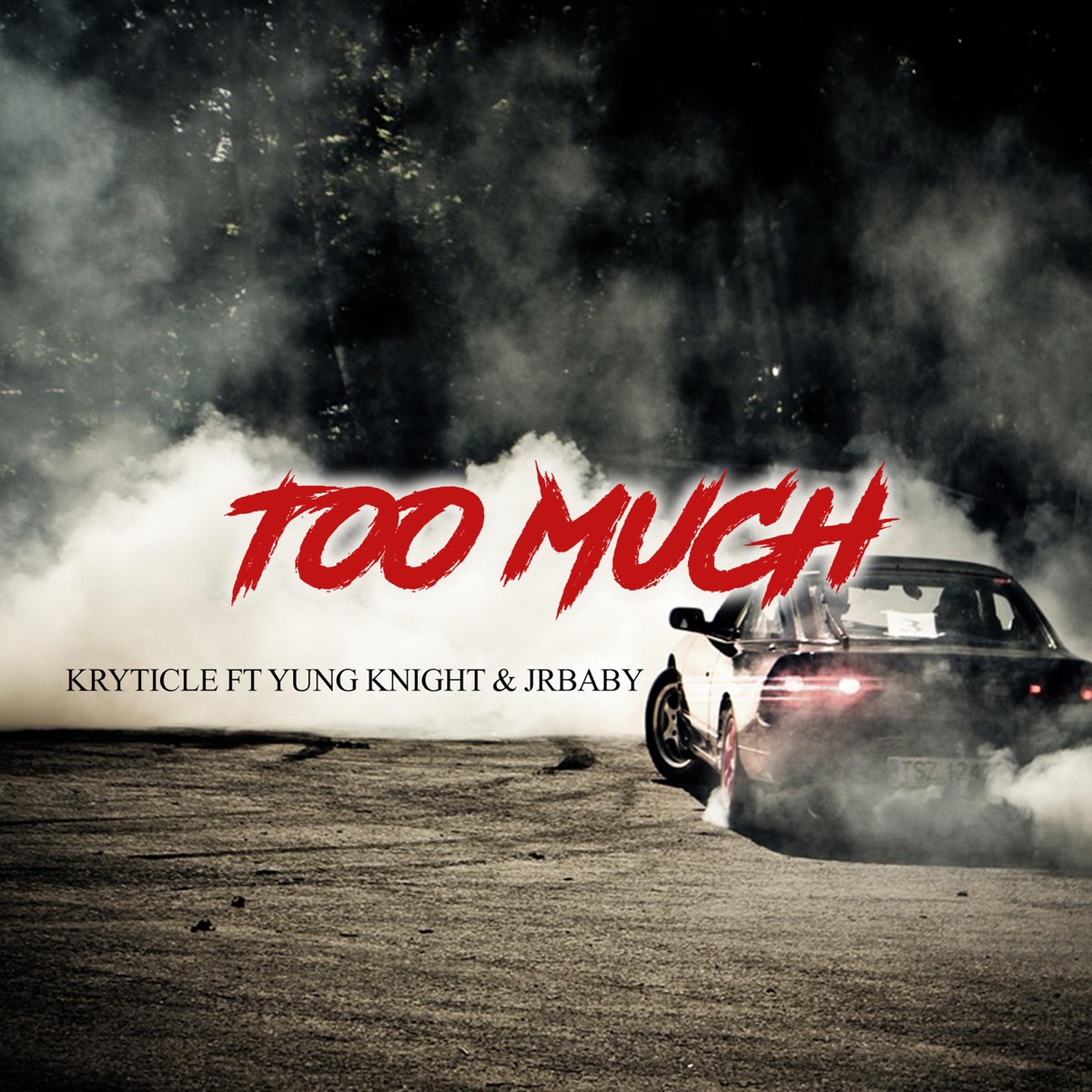 Too Much (feat. Yung Knight & JrBaby) - Single by Kryticle album cover