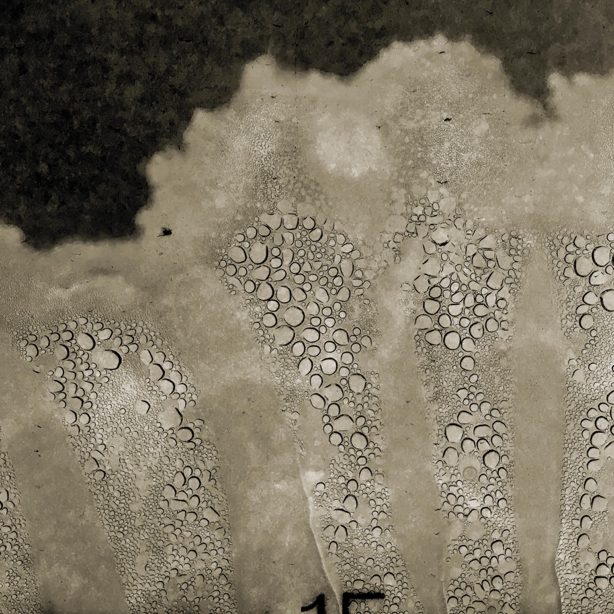 Split by presidiomodelo & Vladimir Luchansky album cover