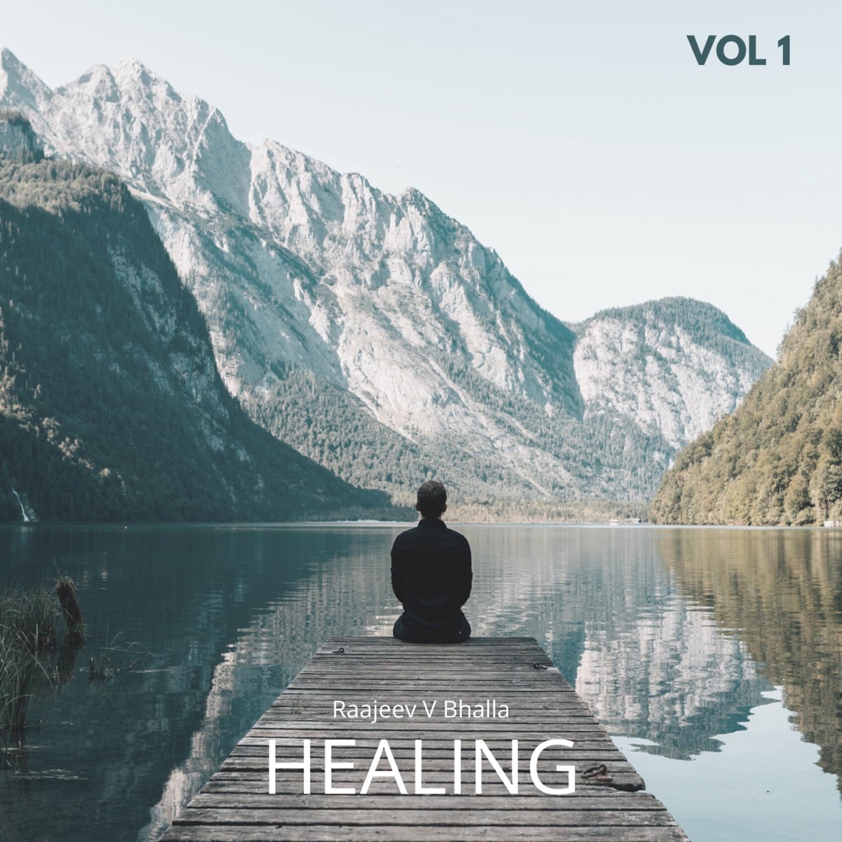 Healing (Vol 1) by Raajeev V Bhalla album cover