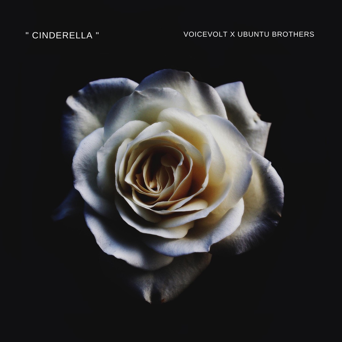 Cinderella (feat. Ubuntu Brothers) - Single by Voicevolt album cover