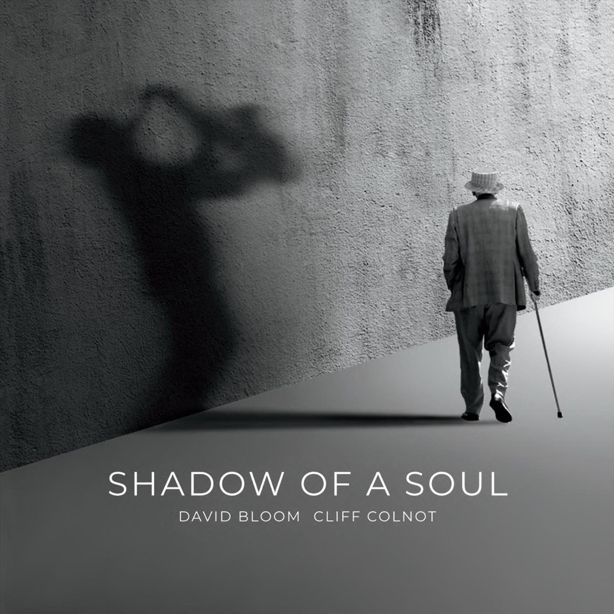 Shadow of a Soul by David Bloom & Cliff Colnot album cover
