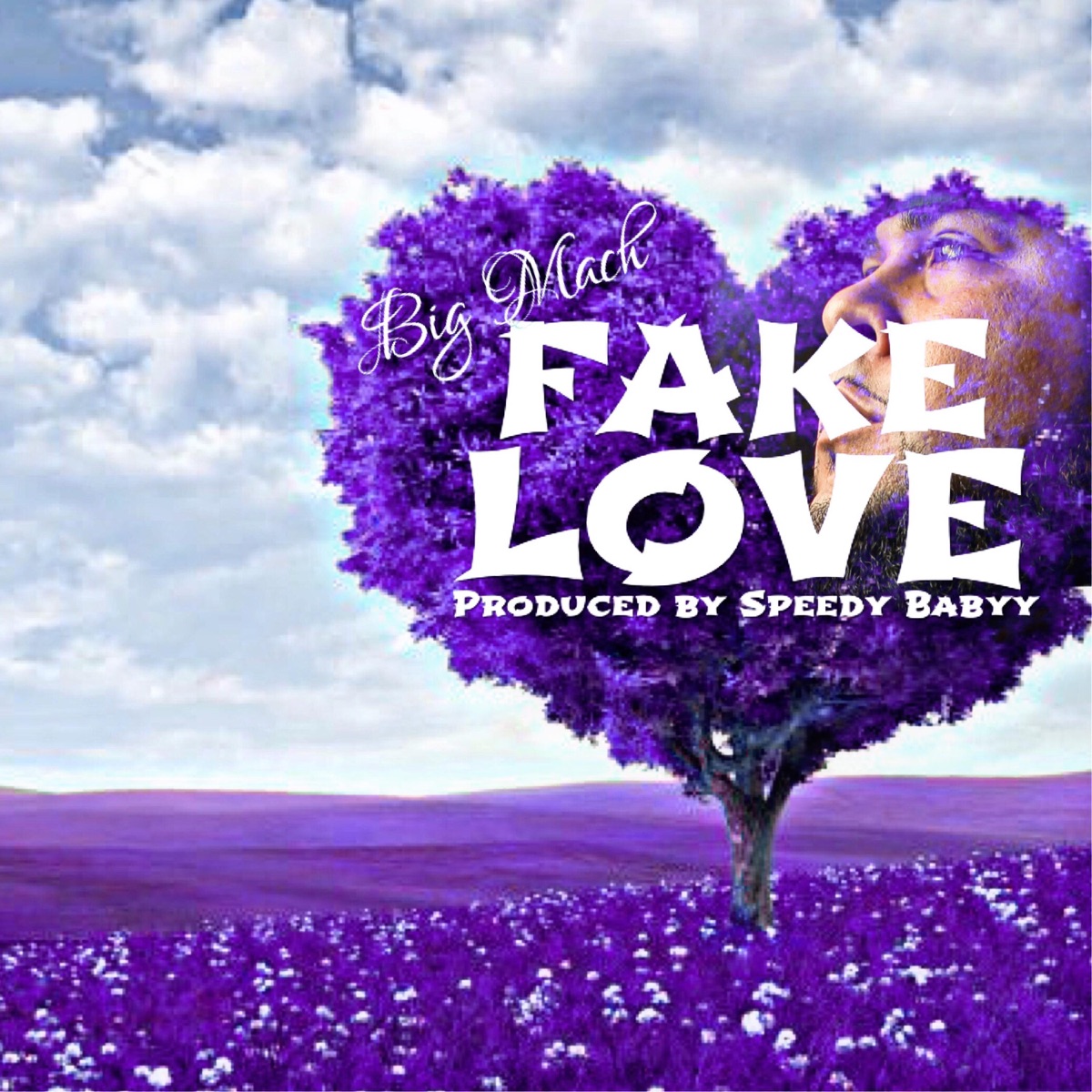 Fake Love - Single by Big Mach album cover