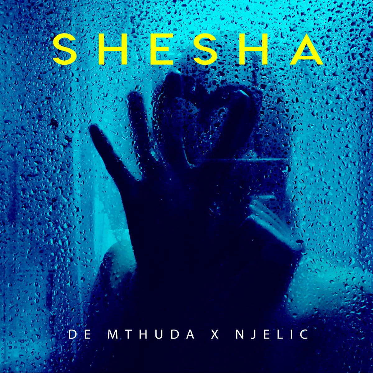 Shesha - Single by De Mthuda & Njelic album cover