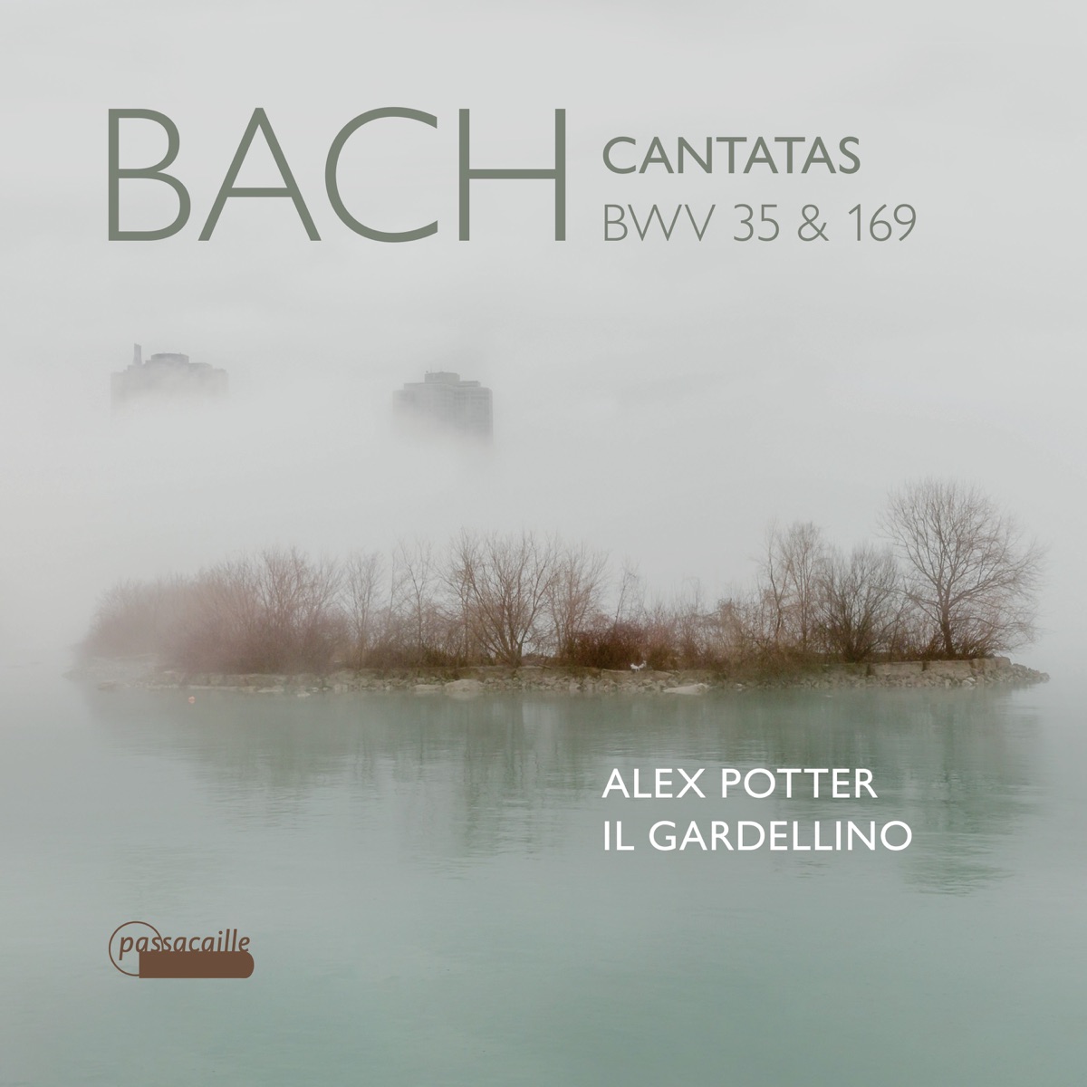 Bach: Cantatas, BWV 35 & 169 by Leo Van Doeselaar, Alex Potter & Il Gardellino album cover