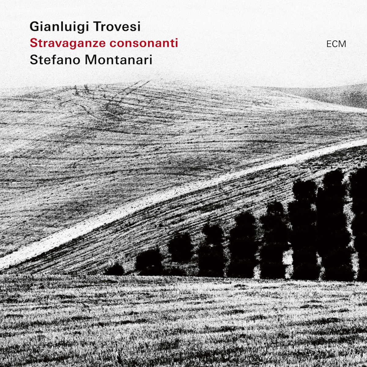 Stravaganze consonanti by Gianluigi Trovesi & Stefano Montanari album cover