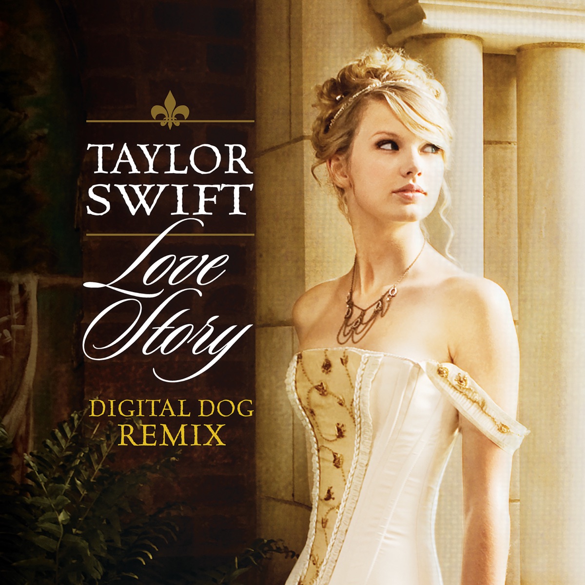 Love Story (Digital Dog Remix) - Single by Taylor Swift album cover artwork