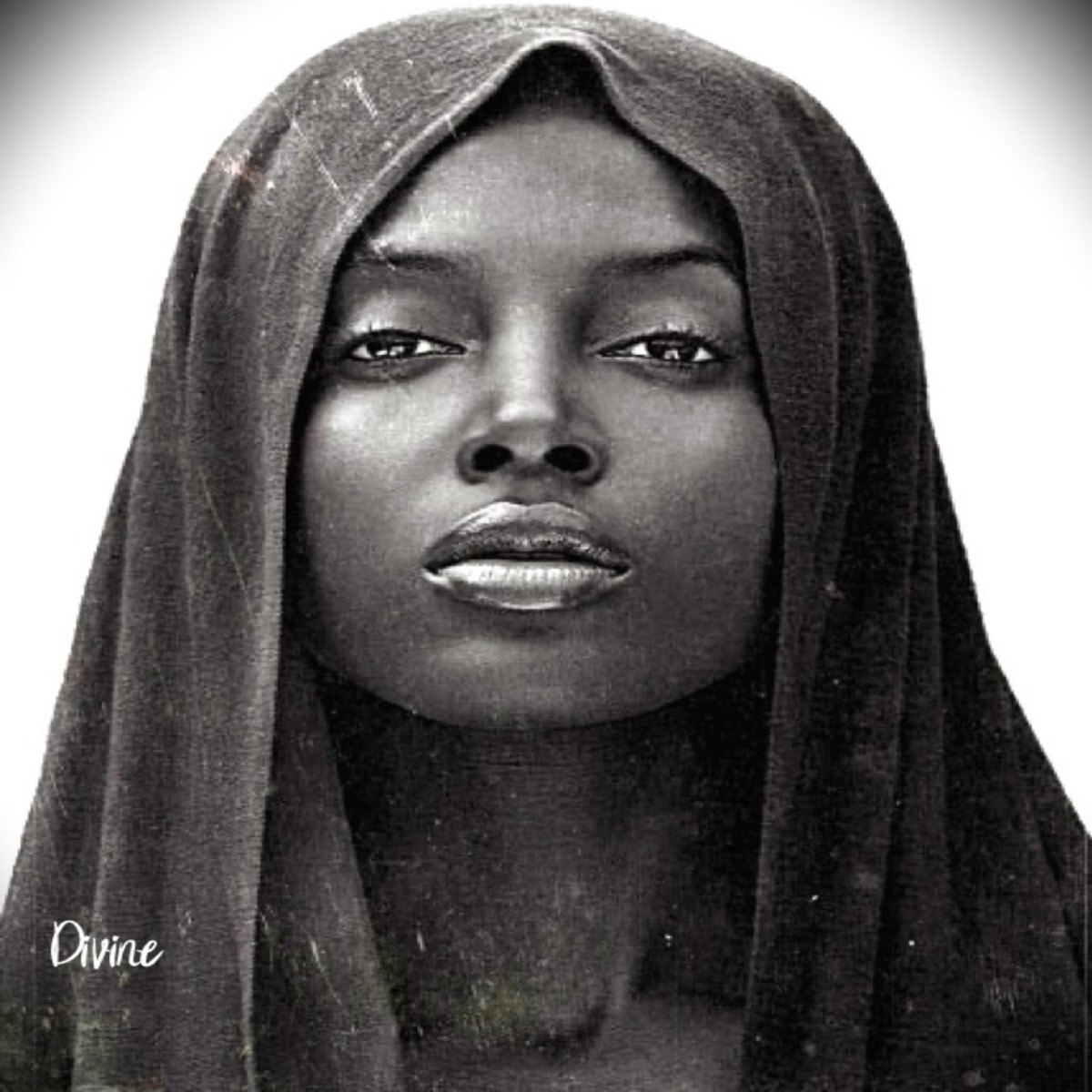 Divine - Single by LMD album cover