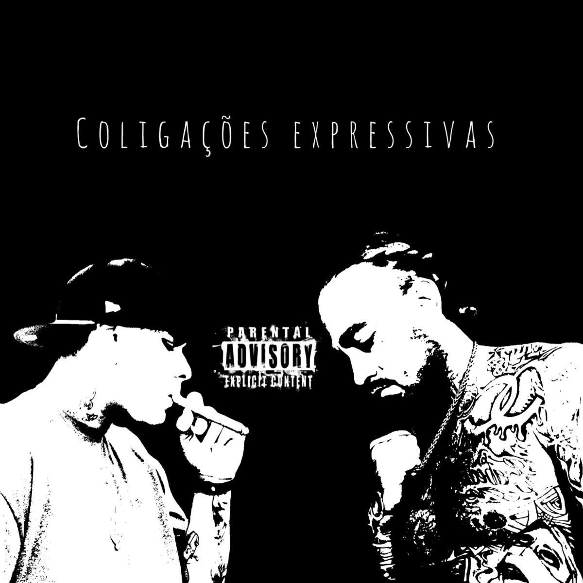 Coligações Expressivas - Single by Shanti 33 & Flavio Dark album cover