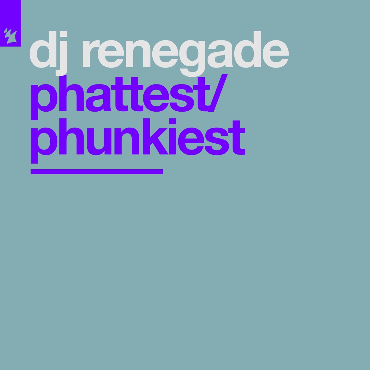 Phattest / Phunkiest by DJ Renegade album cover