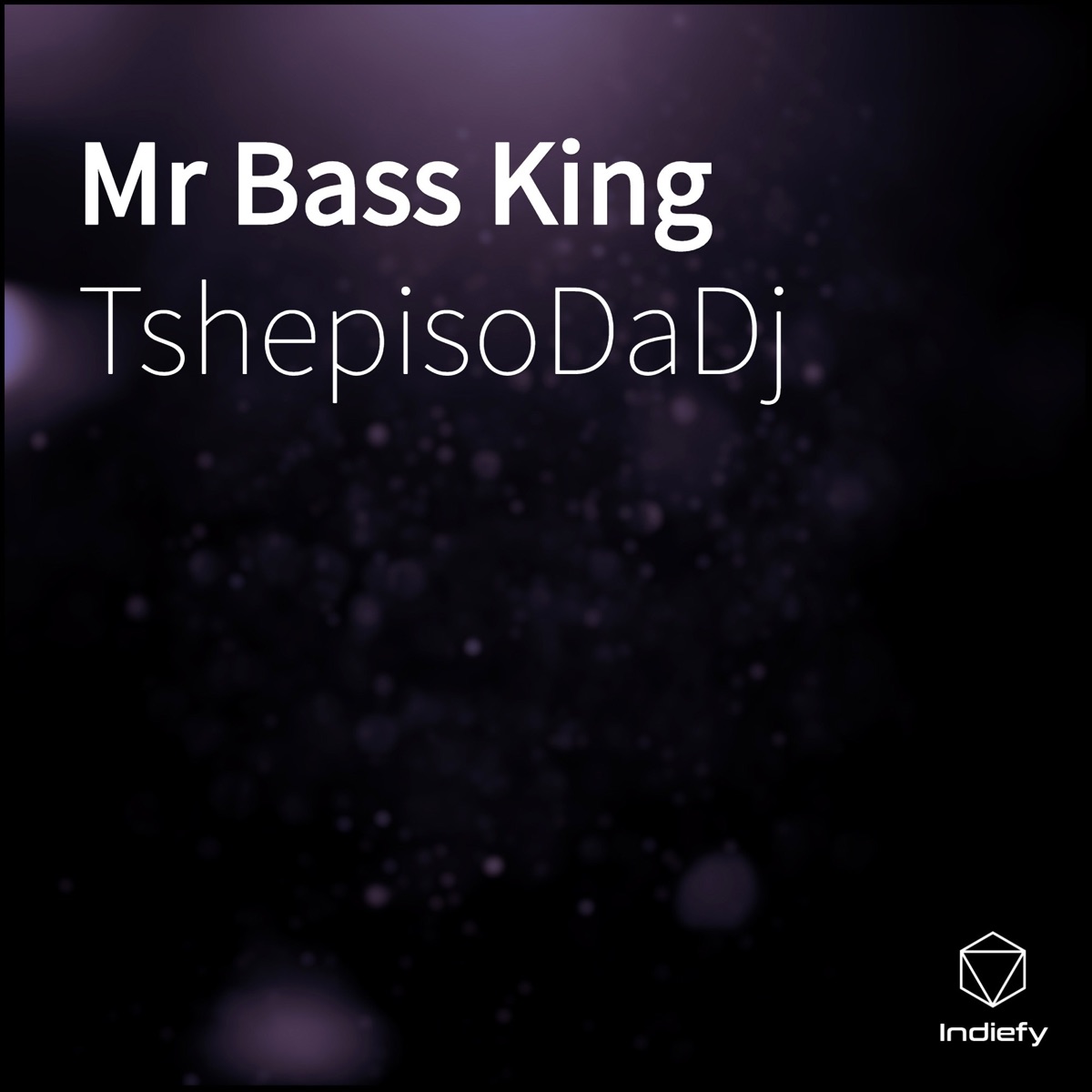 Mr Bass King (feat. Darkie21) - Single by TshepisoDaDj album cover