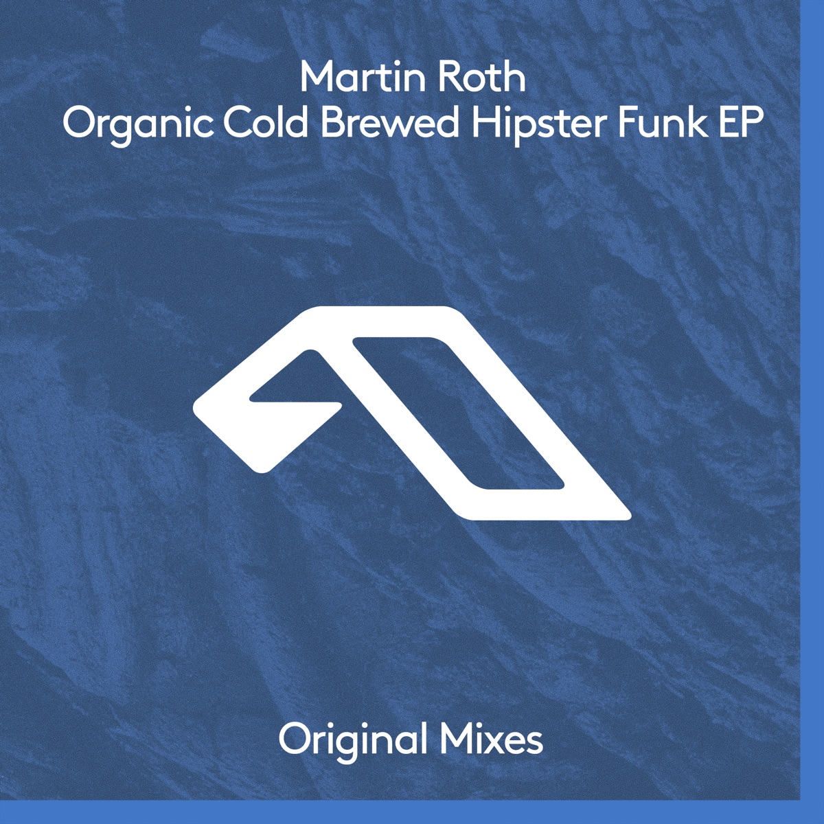 Organic Cold Brewed Hipster Funk by Martin Roth album cover