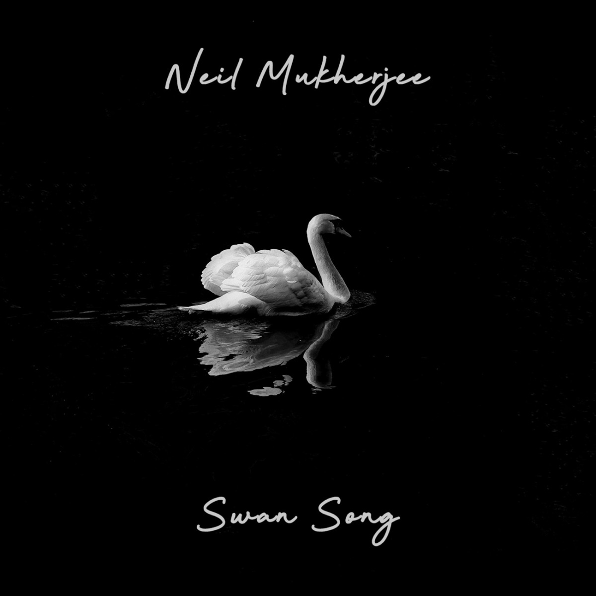Swan Song - Single by Neil Mukherjee album cover