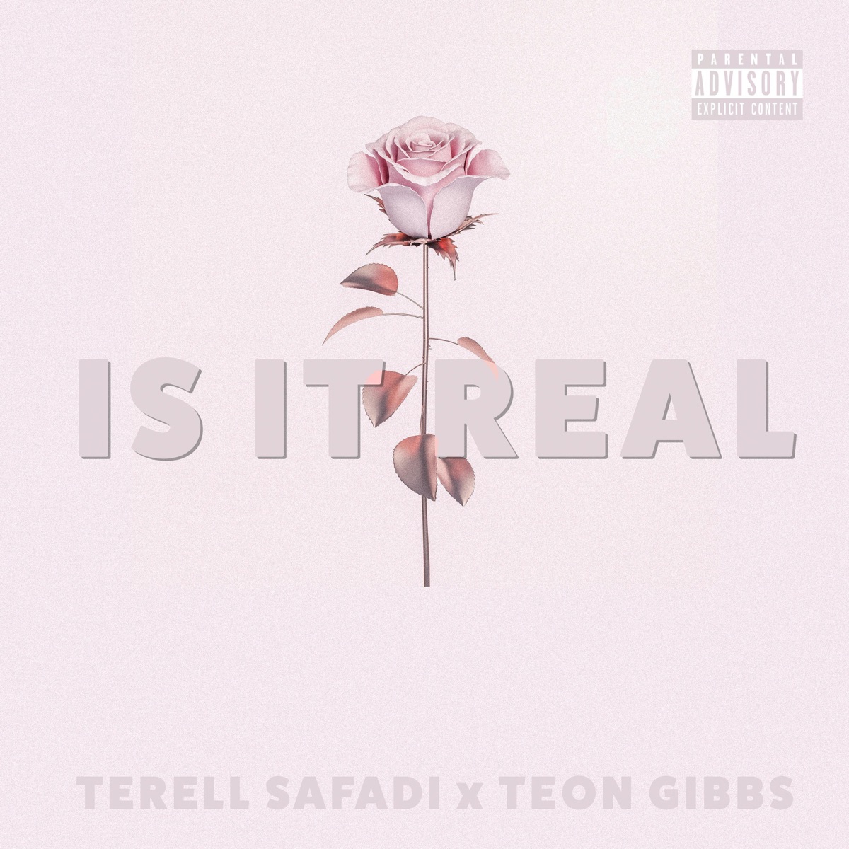 Is It Real - Single by Terell Safadi & Teon Gibbs album cover