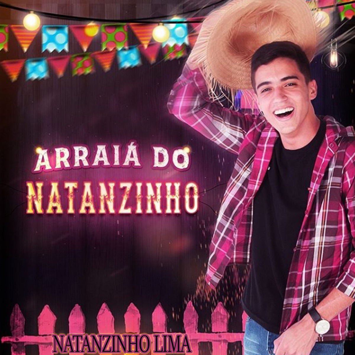 Arraiá do Natanzinho by Natanzinho Lima album cover